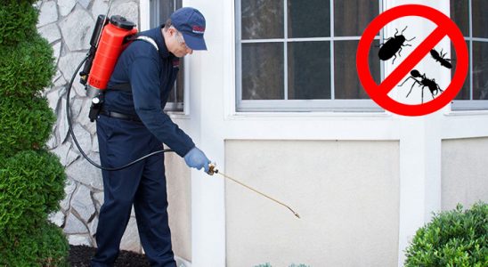 Güçlükonak Böcek İlaçlama böcek ilaçlama ve haşere kontrolü — ilaclama-tr.com